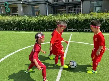 小学生篮球训练计划方案表_1